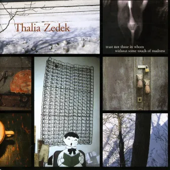 Trust Not Those In Whom Without Some Touch of Madness by Thalia Zedek Band