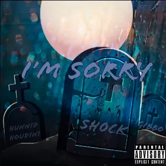 I'm Sorry by SH0CK