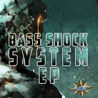 System by Bass Shock