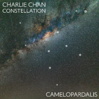 Constellation Camelopardalis by Charlie Chan