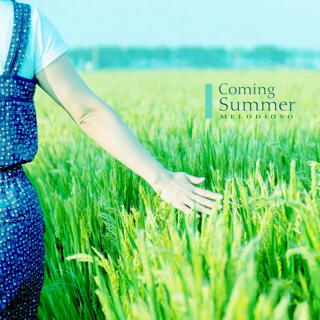 Coming Summer