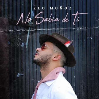 No Sabía de Ti by Zeo Munoz