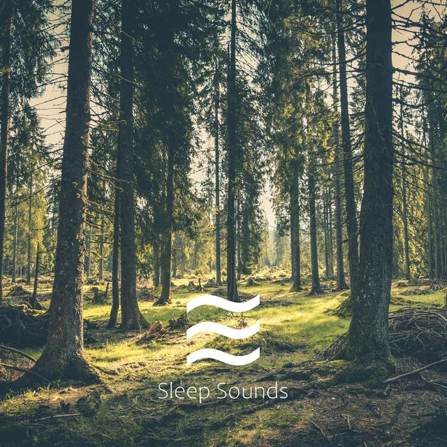 Soft Forest Sounds