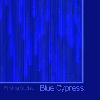 Blue Cypress by Unknown Artist