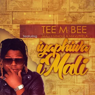 Iyaphiwa Imali by Tee M Bee