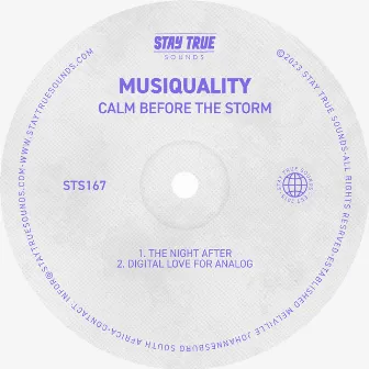 Calm Before The Storm by MusiQuality