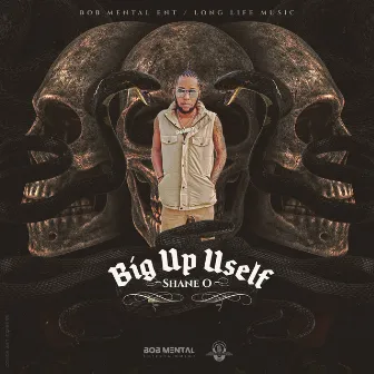 Big up Uself by Dizzy long life