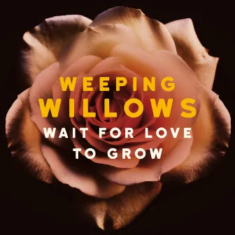 Wait for Love to Grow by Weeping Willows