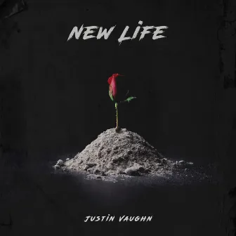 New Life by Justin Vaughn