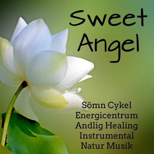 Sweet Angel - Sömn Dröm Cykel Energicentrum Andlig Healing Instrumental Natur Musik för Djup Koncentration Fokus Minska Ångest