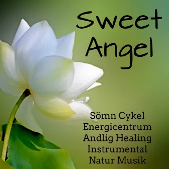 Sweet Angel - Sömn Dröm Cykel Energicentrum Andlig Healing Instrumental Natur Musik för Djup Koncentration Fokus Minska Ångest by Relaxation and Meditation SPA Music