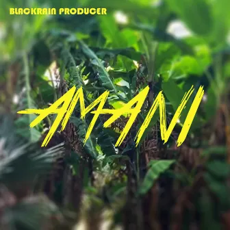 Amani by Blackrain Producer