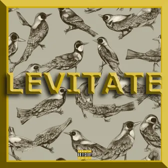 Levitate by Kire onze