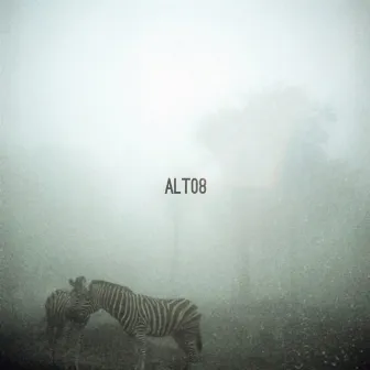 Foggy Safari EP by Alberto Tolo