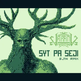 Syt pa seji (8bit Version) by S_TN