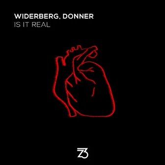 Is It Real by widerberg