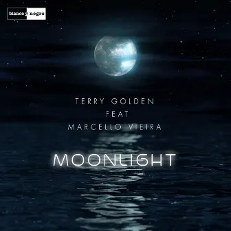 Moonlight by Terry Golden