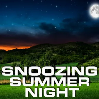 Snoozing Summer Night by Premium Soundscapes