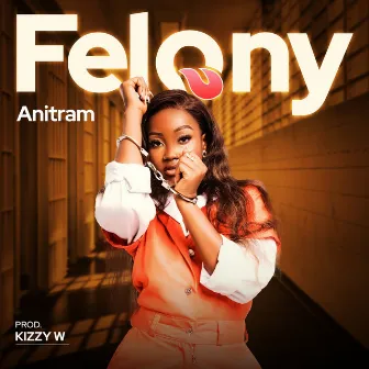 Felony by Anitram