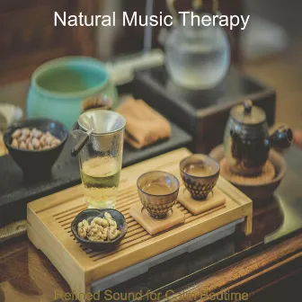 Refined Sound for Calm Bedtime by Natural Music Therapy