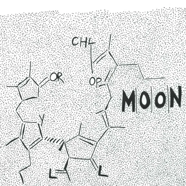 Chlorophyll