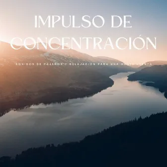 Impulso De Concentración: Sonidos De Pájaros Y Relajación Para Una Mente Atenta by Música para estudiar y concentrarse