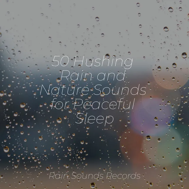 50 Hushing Rain and Nature Sounds for Peaceful Sleep