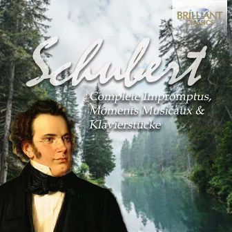 Schubert: Complete Impromptus by Folke Nauta