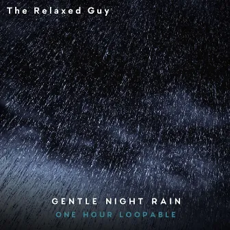 Gentle Night Rain by The Relaxed Guy