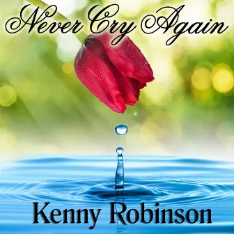 Never Cry Again by Kenny Robinson