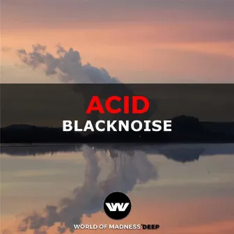 Acid (Extended Mix) by Blacknoise