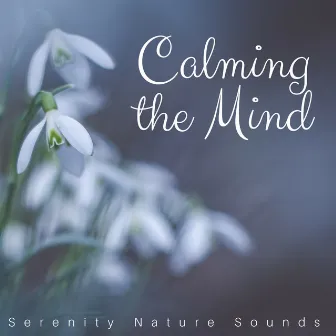 Calming the Mind - Serenity Nature Sounds, Autogenic Training, Instrumental Background Music, Relaxation Techniques by Spa Center