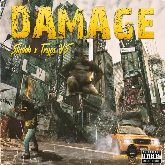 Damage by Tryps YS