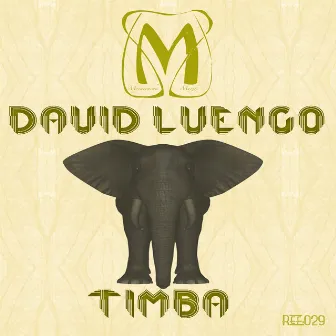 Timba by David Luengo