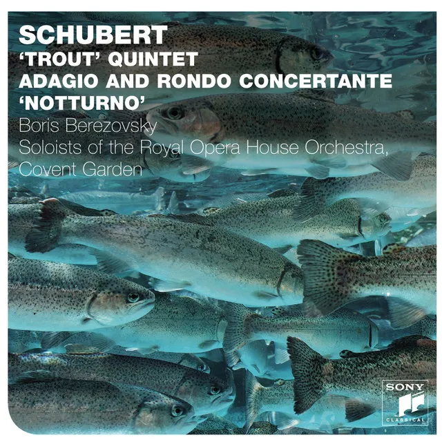 Trout Quintet: Andante