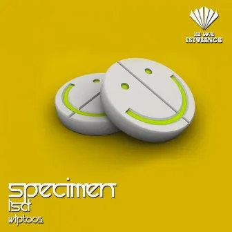 LSD by Specimen