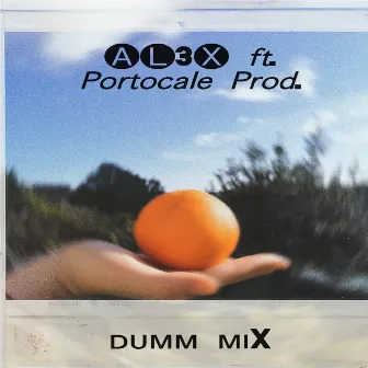 Dumm Mix by Alex