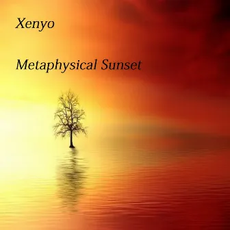 Metaphysical Sunset (metaphysical sunset) by Xenyo