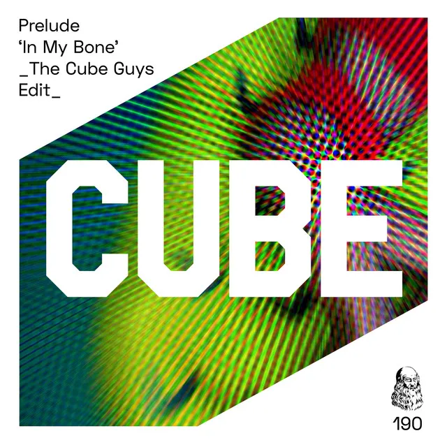 In My Bone - The Cube Guys Radio Edit