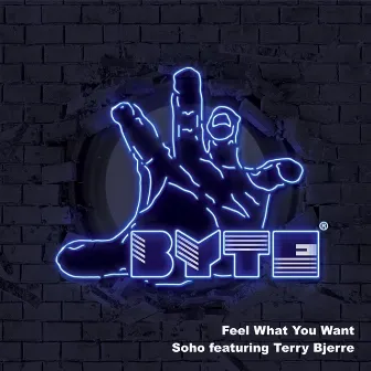 Feel What You Want by Soho