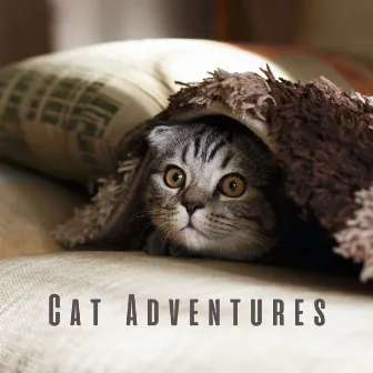 Cat Adventures: Melodic Lofi Escapes with Curious Cats by Sundaynightcoffee