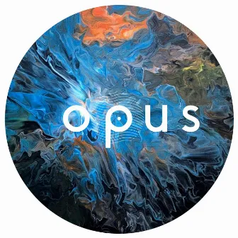 OPUS020 by Sour District