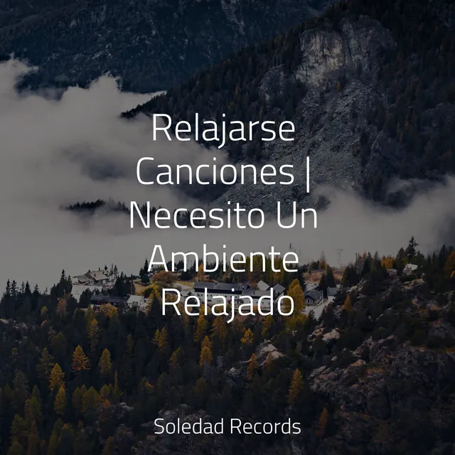 Relajarse Canciones | Necesito Un Ambiente Relajado