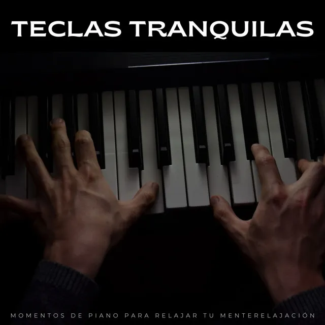 Teclas Tranquilas: Momentos De Piano Para Relajar Tu Mente