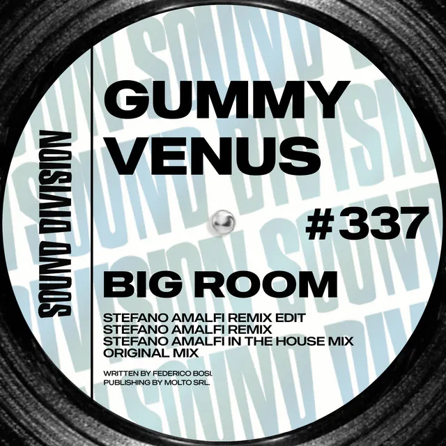 Big Room - Stefano Amalfi Remix Edit