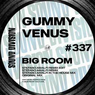 Big Room by Gummy Venus