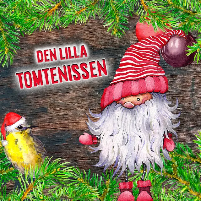 Den lilla tomtenissen, del 6