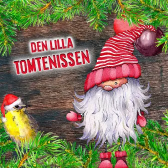 Den lilla tomtenissen by Agneta Bolme