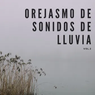 Orejasmo De Sonidos De Lluvia Vol. 2 by Sonido mágico de lluvia para dormir