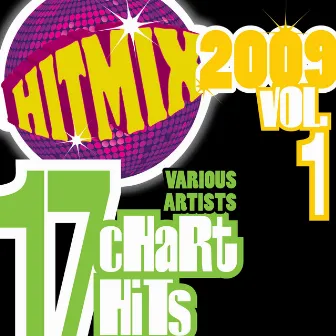 Hit Mix 2009 Vol. 1 - 17 Chart Hits by Fountain